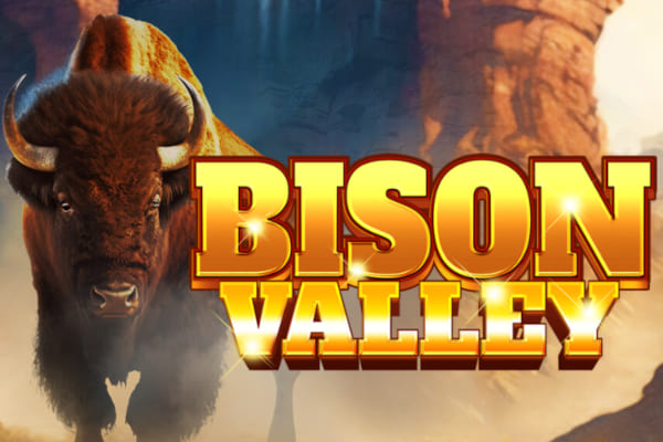 Bison Valley