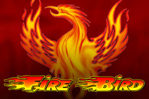 Fire Bird