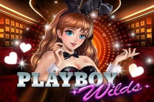 Playboy Wilds